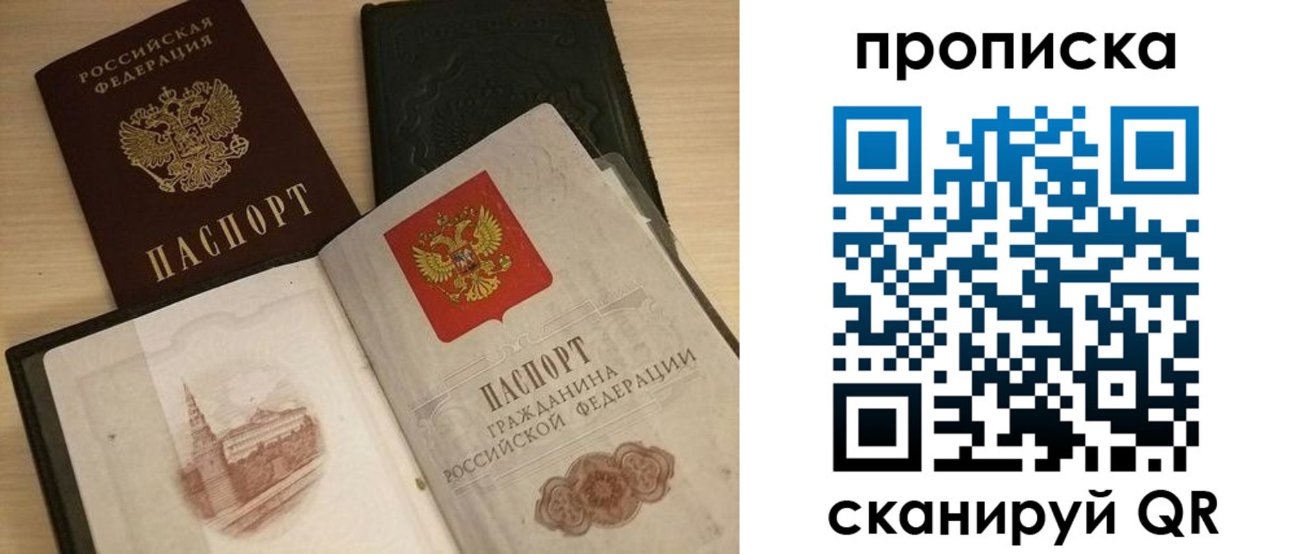 прописка в квартире в Палласовке